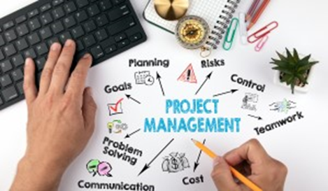 Picture of Project Management mind map