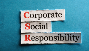 The Benefits of Investing in CSR Partnerships